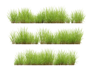 Set of green grass on transparent background, 3d render illustration.