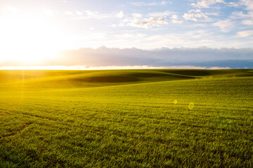 Fototapeta na wymiar Perfect view of farmland and green wavy fields. Ukrainian agrarian region, Europe.