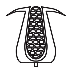 Corn Vegetable icon illustration design art