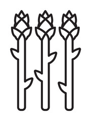 Asparagus icon illustration design art