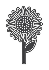 Sunflower icon illustration design art