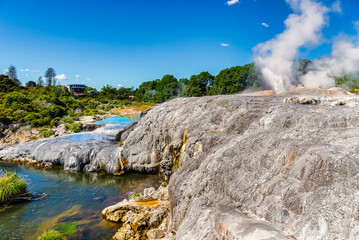 Te Puia Geyser in Rotorua, North Island, New Zealand