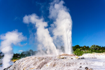 Te Puia Geyser in Rotorua, North Island, New Zealand