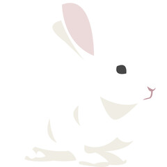White Rabbit Illustration-03