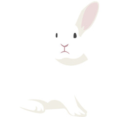 White Rabbit Illustration-05