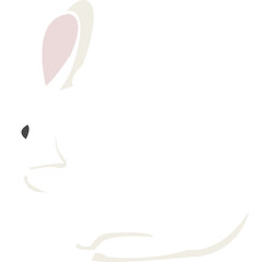 White Rabbit Illustration-07