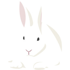 White Rabbit Illustration-08