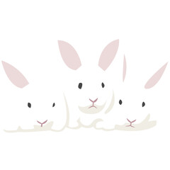 White Rabbit Illustration-10