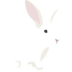 White Rabbit Illustration-09