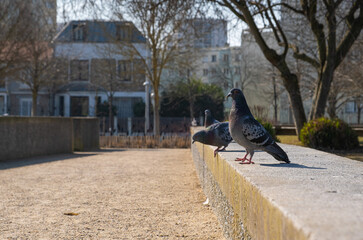 Obraz premium Parc du Chemin de l'ïle , Nanterre (Hauts de Seine, France)