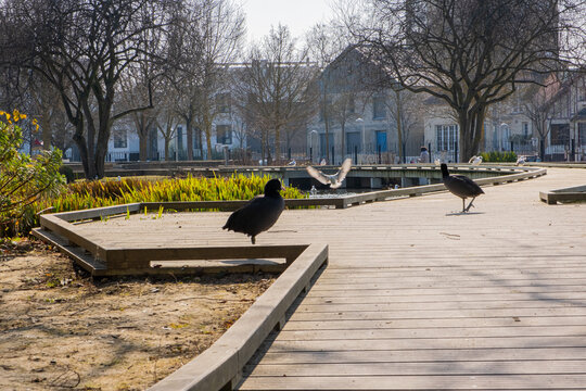 Parc du Chemin de l'&iuml;le , Nanterre (Hauts de Seine, France)