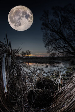 At night there is a very large full moon over a landscape in the state of Brandenburg