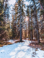 カナディアンロッキーのある生活 (カナダ - キャンモア)