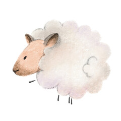 cute illustration with sheep drawing in children's style