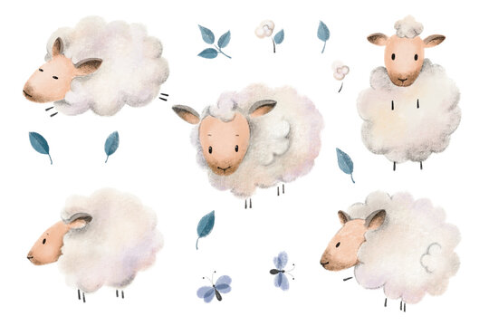 cute illustration with sheep drawing in children's style