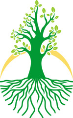 Tree and root with sun