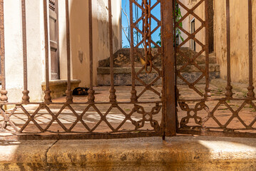 Cortiletto vuoto con gatto accovacciato dietro un cancello in ferro battuto arruginito