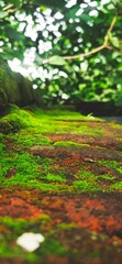 green forest in spring