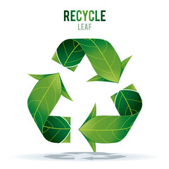 Illustration of green triangle leaf shape. Vector