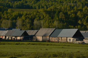 Obraz premium In the quiet Hemu Village near Kanas Scenic Area in Xinjiang, China, there are wooden huts lying on the quiet grassland. High-quality photo