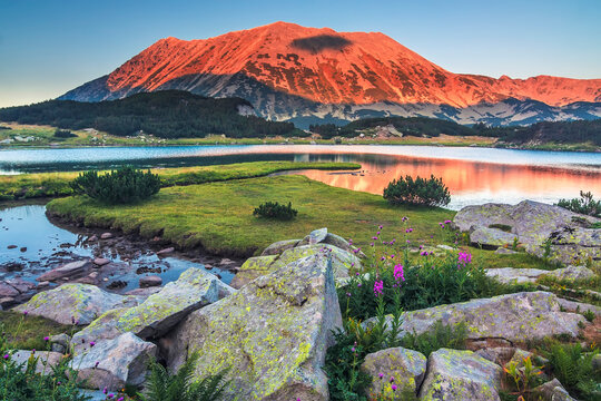 Colors of Pirin Mountain