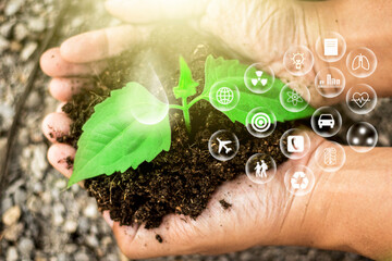 Fototapeta na wymiar hand touching planting small plants with holographic soil environmental science with new future technology business planning development and conservation protection