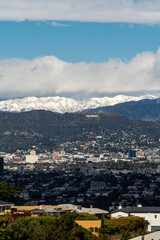 Hollywood Sign with Snow Vertical