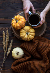 Hands with a cup of coffee with pumpkins on the wooden table
