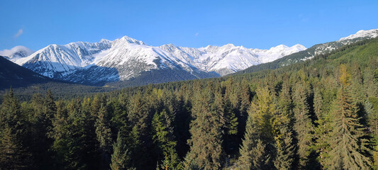 mount hood state