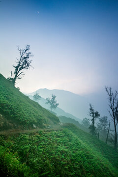 Path hiking up Kawah Ijen volcano, Banyuwangi, Java, Indonesia