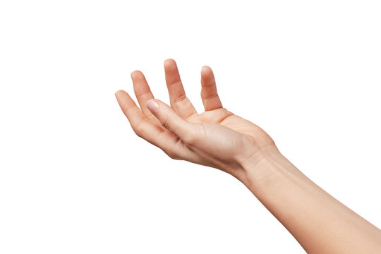 Beauty female hand