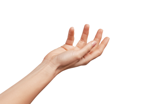 Beauty female hand