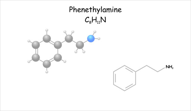 Stylized molecule model/structural formula of phenethylamine.