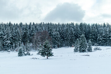 Schöne Winterlandschaft auf den Höhen des Thüringer Waldes bei Floh-Seligenthal - Thüringen - Deutschland