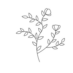 flower, nature, leaf, spring, flowers