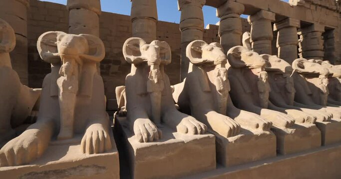 Ram headed sphinxes beyond the first pylon at Karnak Temple, Karnak, Egypt