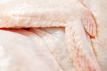 Chicken carcass raw wing close-up, selective focus