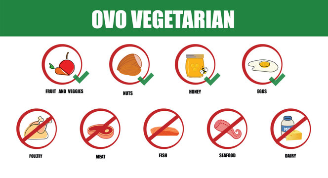 Ovo vegetarian. Types of diets and nutrition plans from weight loss collection outline set. Eating model for wellness and health care vector illustration