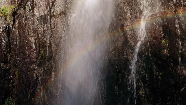 forest waterfall with the rainbow