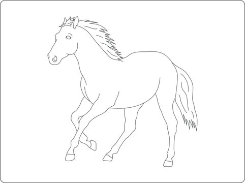 horse vector illustration coloring book