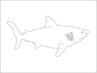 shark vector illustration coloring book