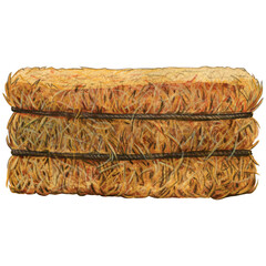 watercolor hay decoration © angela0982