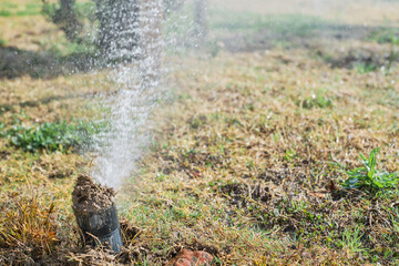 Sprinkler head for watering bush and grass in parks or farms, selective focus, blurred background, environmental care