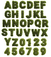 3D render alphabet made of grass and flowers, foliage lettering isolated on white
