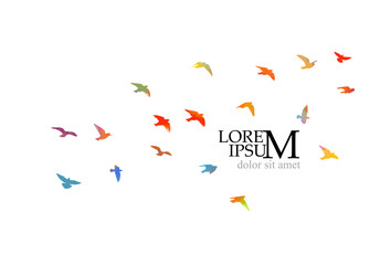 Abstract colored flying birds. Mixed media. Vector illustration