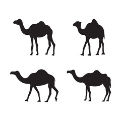 Camel silhouette set. Isolated on white background.