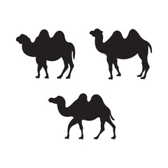 Camel silhouette set. Isolated on white background.