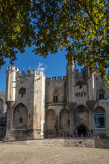 Obraz premium Palais des Papes à Avignon dans le Vaucluse à l' automne , France