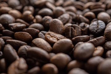 Fresh roasted brown coffee beans background