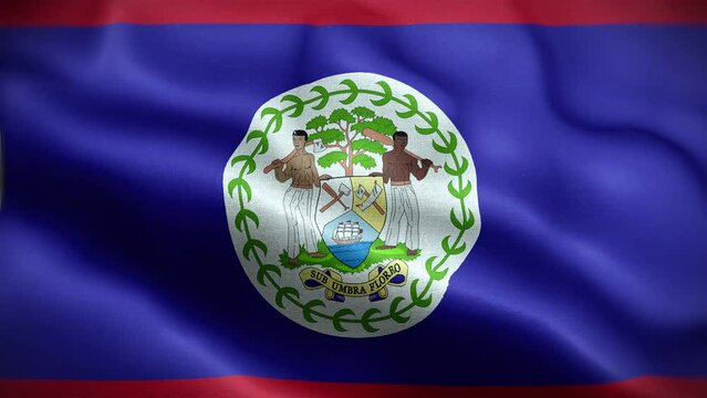4K Textured Flag of Belize Animation Stock Video - Belizean Flag Waving in Loop - Highly Detailed Belize Flag Stock Video.